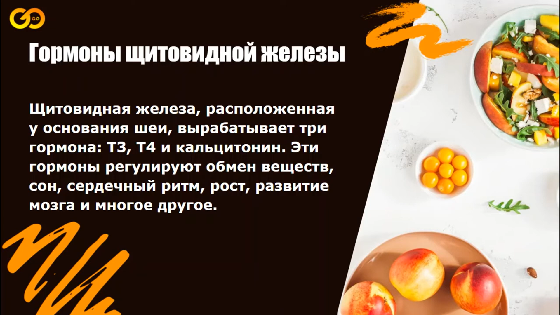 Комплексное обучение Nutrition Profi