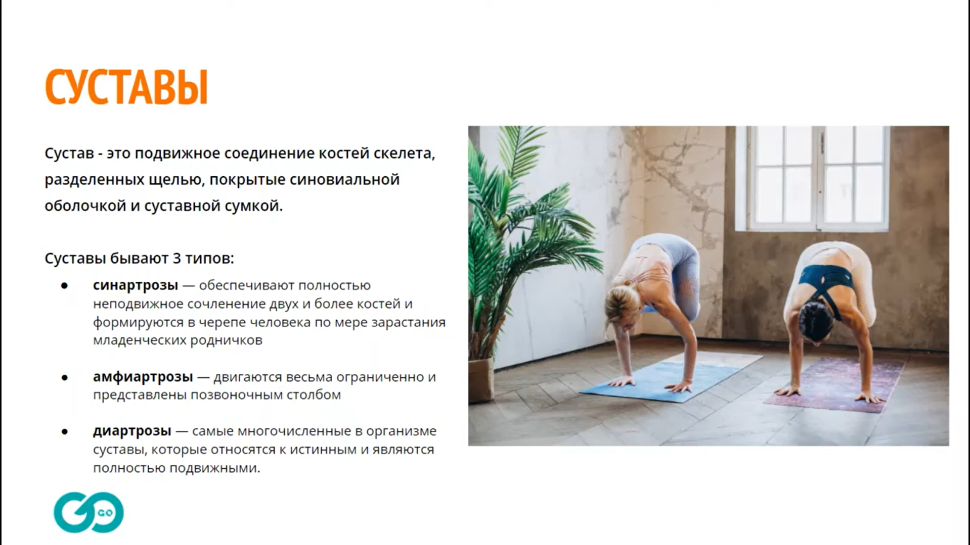 Комплексное обучение YOGA START